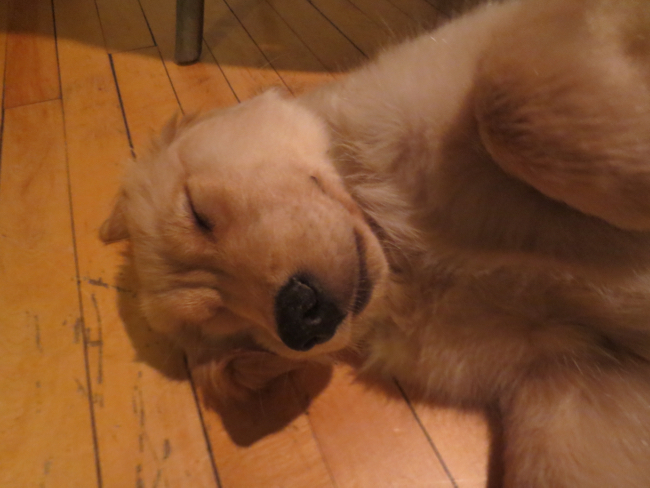 asleep