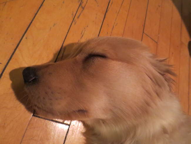 asleep