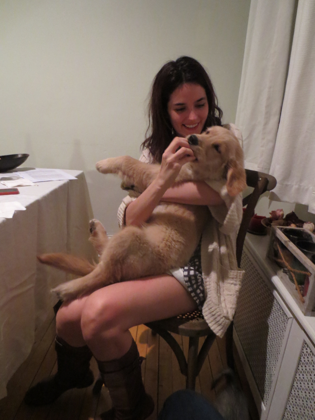 ellen + dogs