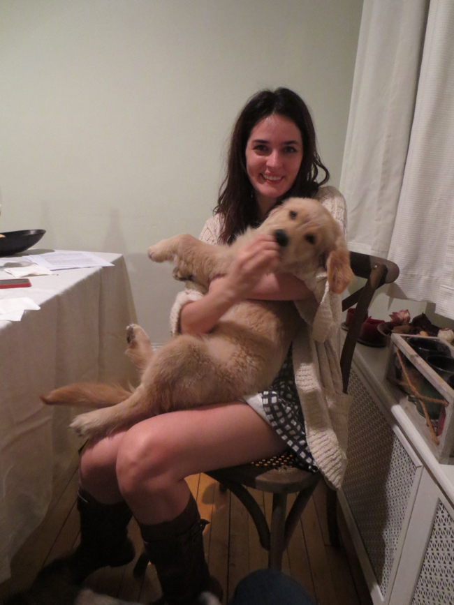 puppy
