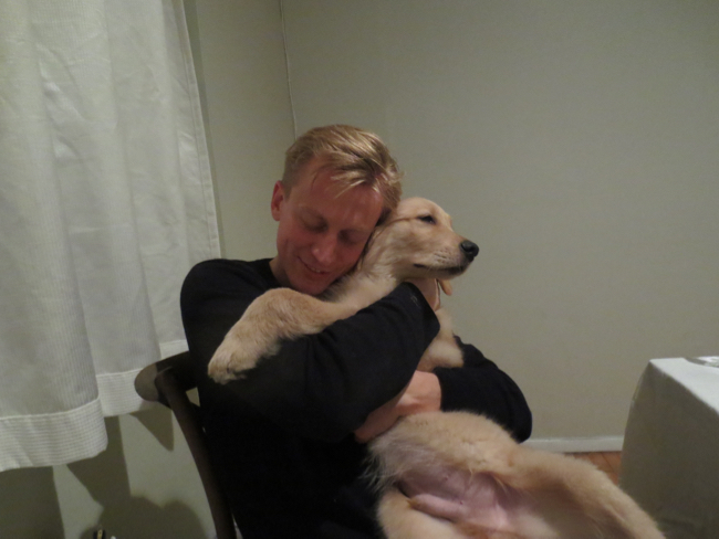 puppy