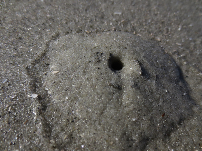 beach