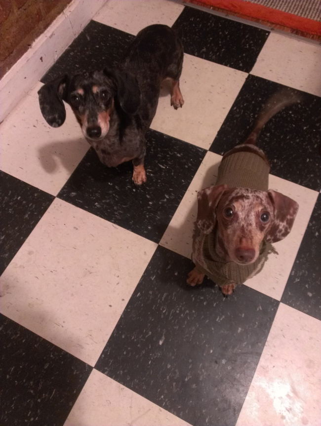 edie