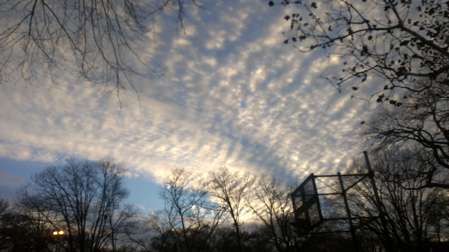 tompkins