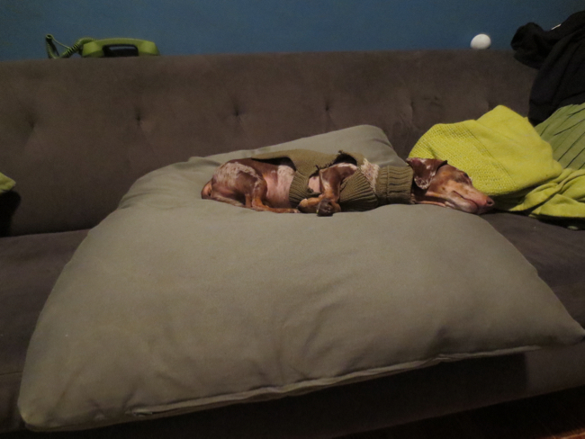 asleep