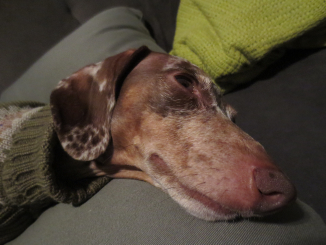 asleep
