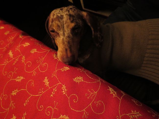 sleepy