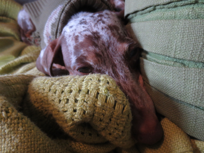 sleepy