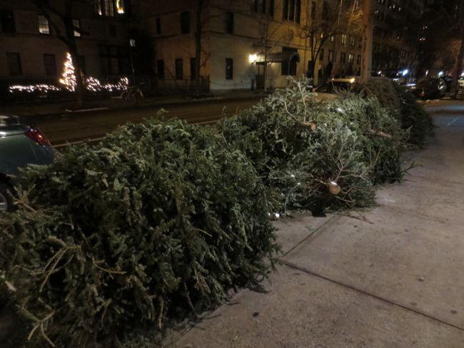 trees