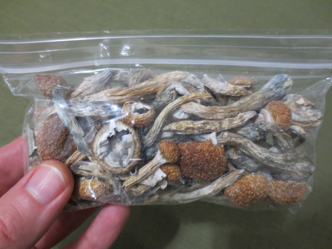 mushrooms