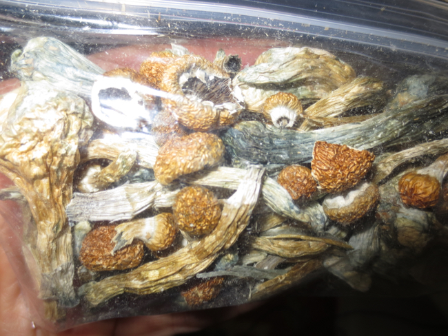 mushrooms