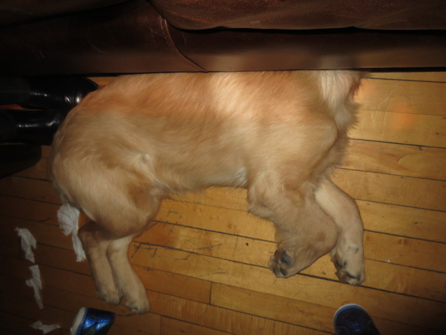 asleep