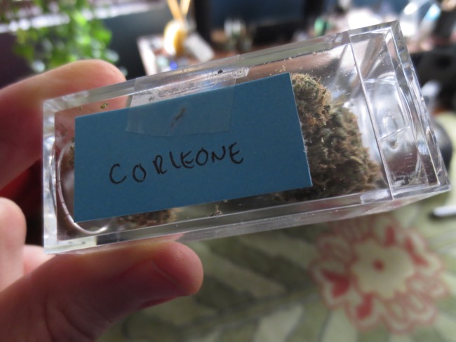 weed