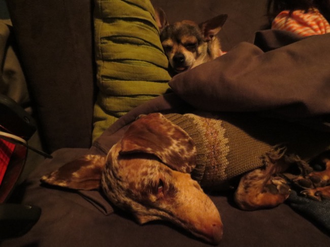 asleep