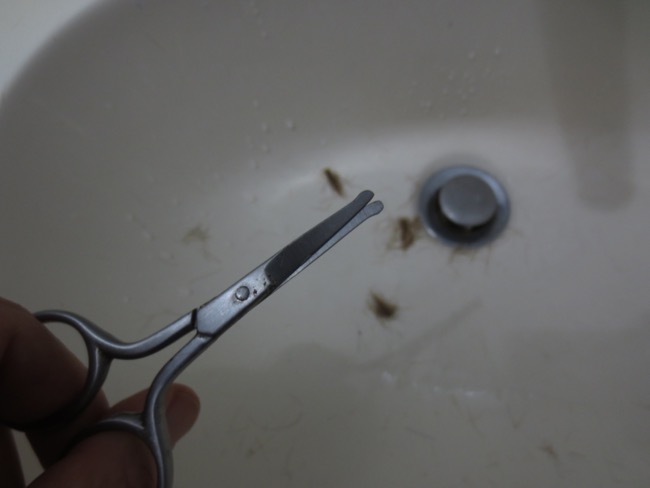 scissors