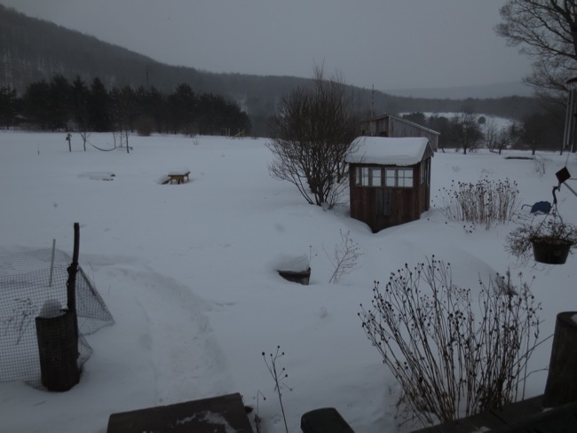 snow