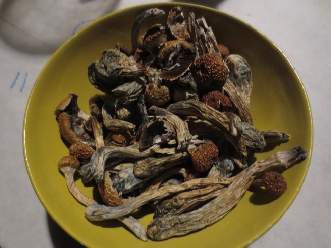 mushrooms