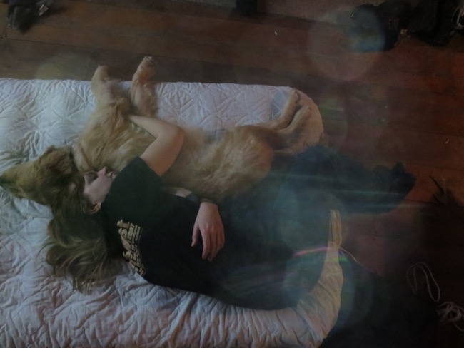 bed