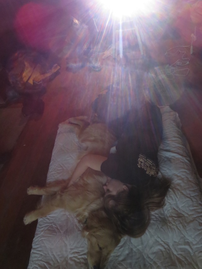 bed