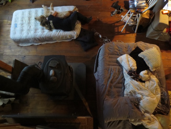 bed