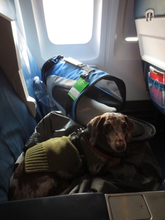 maddy + airplane