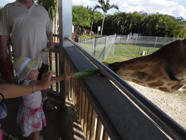 zoo