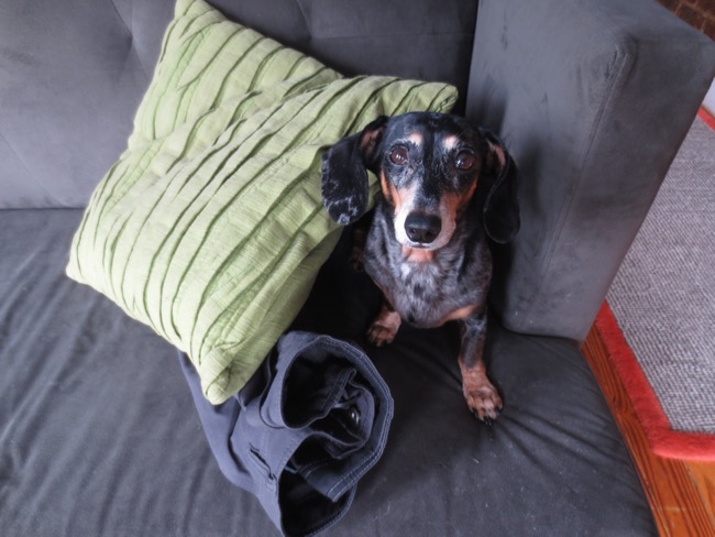 edie