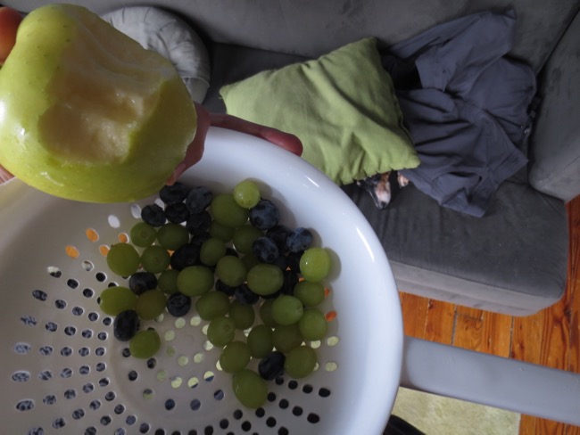 fruit