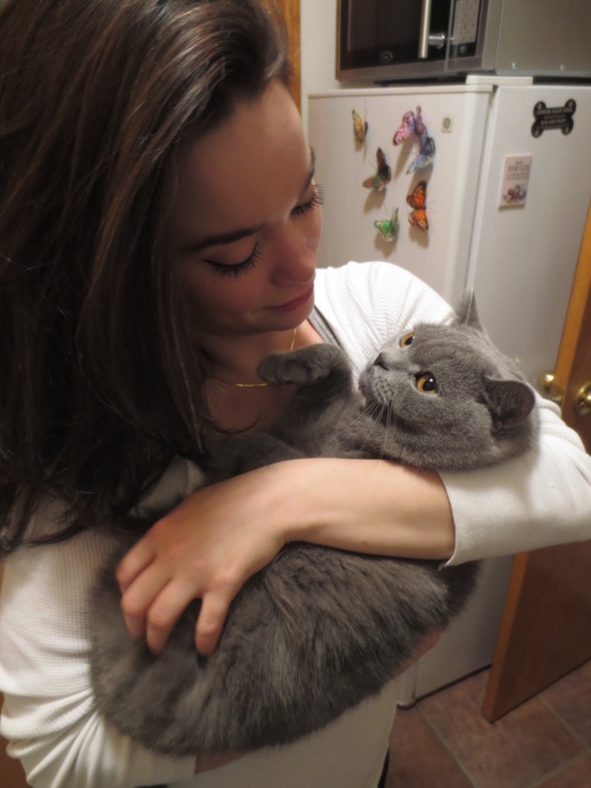 cat