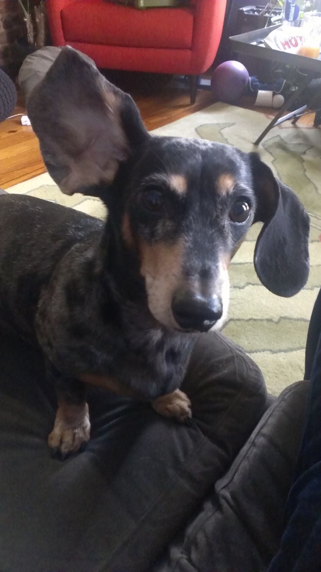 edie