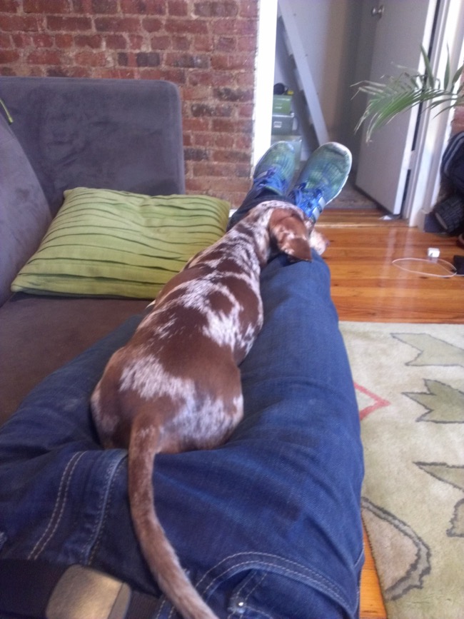 couch