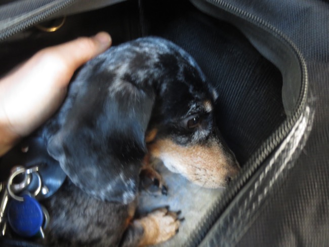 edie