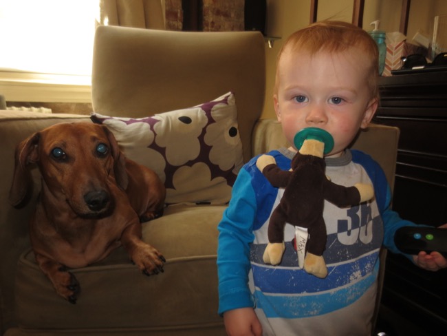 teddy