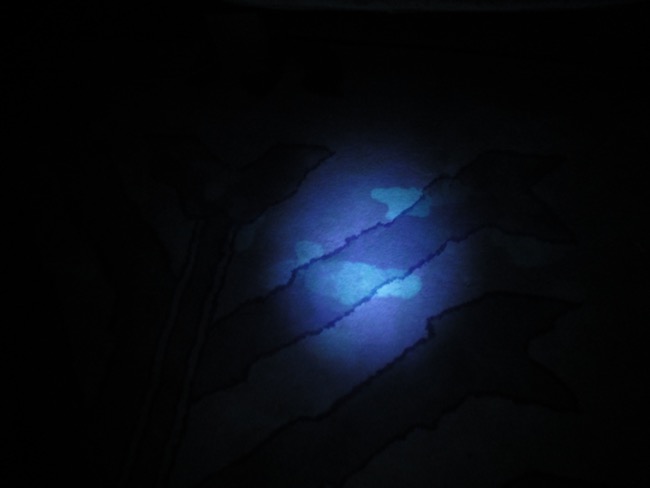 flashlight