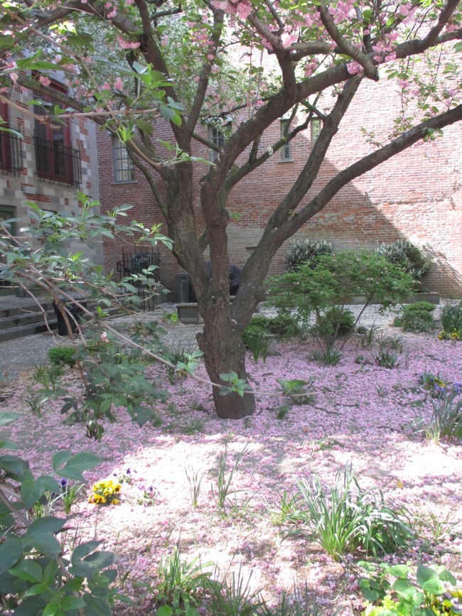 trees