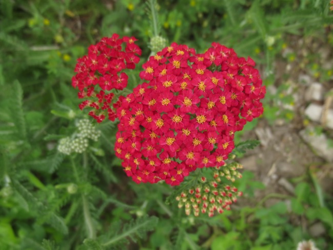 sacred geometry