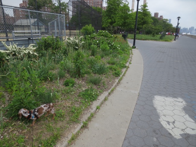 east river park