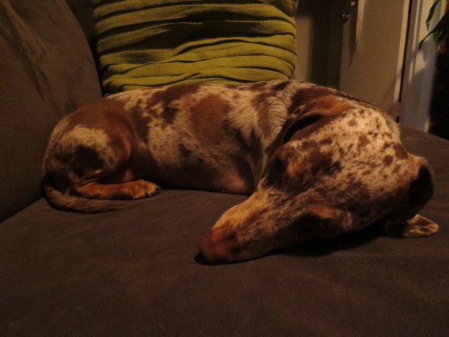 asleep