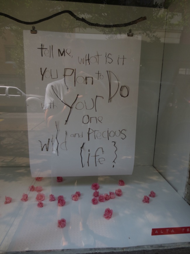 window