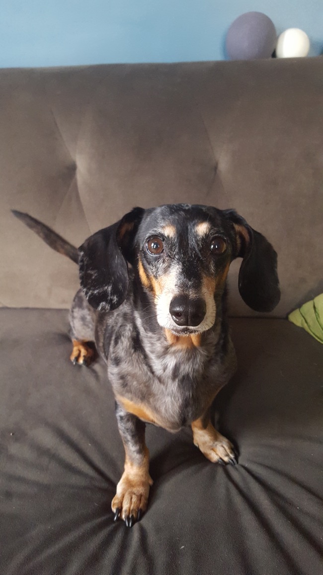 edie