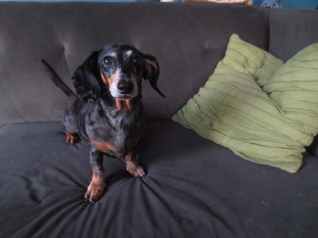 edie