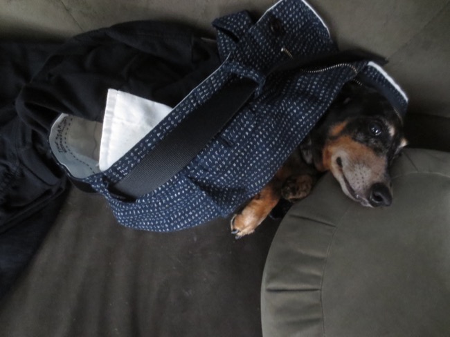 edie