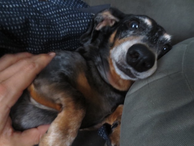 edie