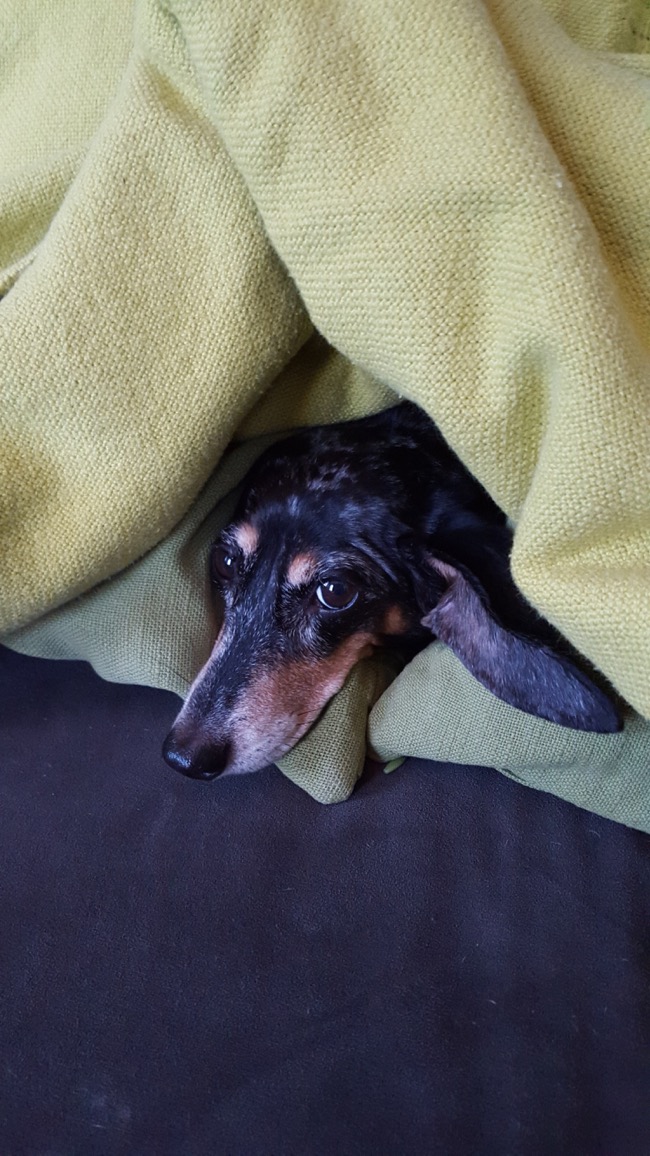 edie