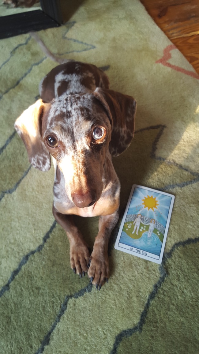 tarot