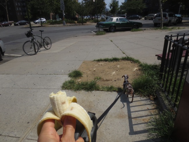 walking