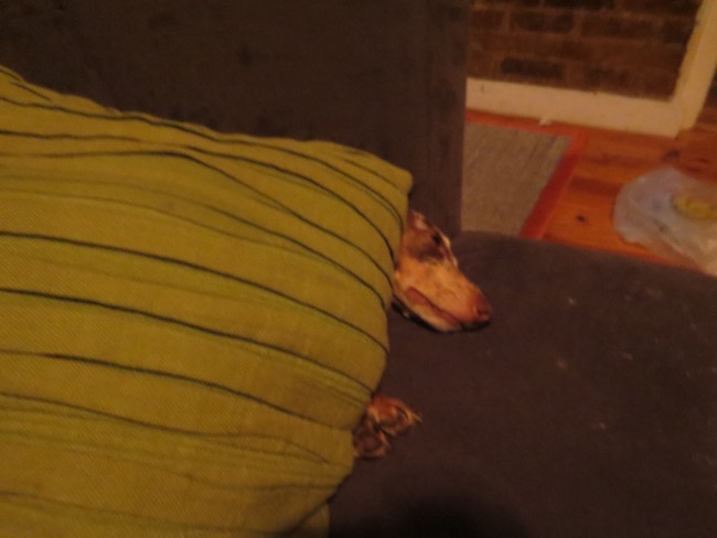 pillow