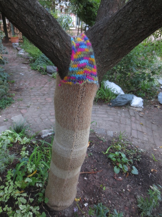tree