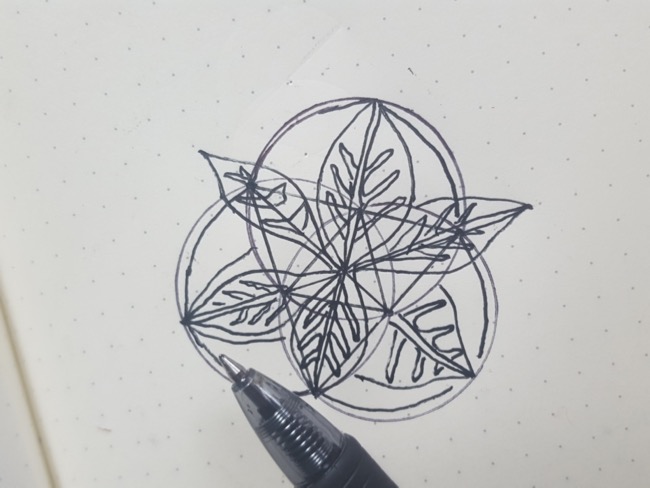 drawing
