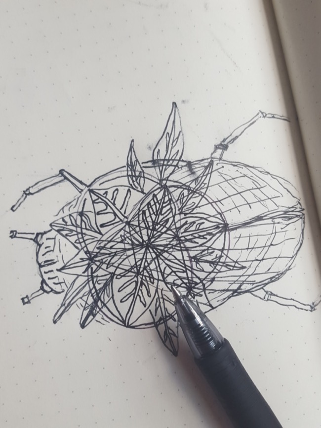 drawing